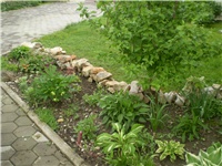 36e0f9c8-Picture 5881.jpg